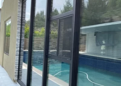 Glass Railing and Door